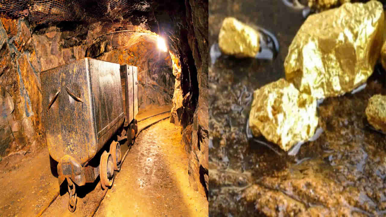 India gold Mines: భారతదేశ నేలలో దాగి ఉన్న బంగారు నిధి, ఏపీతో సహా దేశంలోని 5 పెద్ద బంగారు గనులు ఎక్కడ ఉన్నాయంటే..