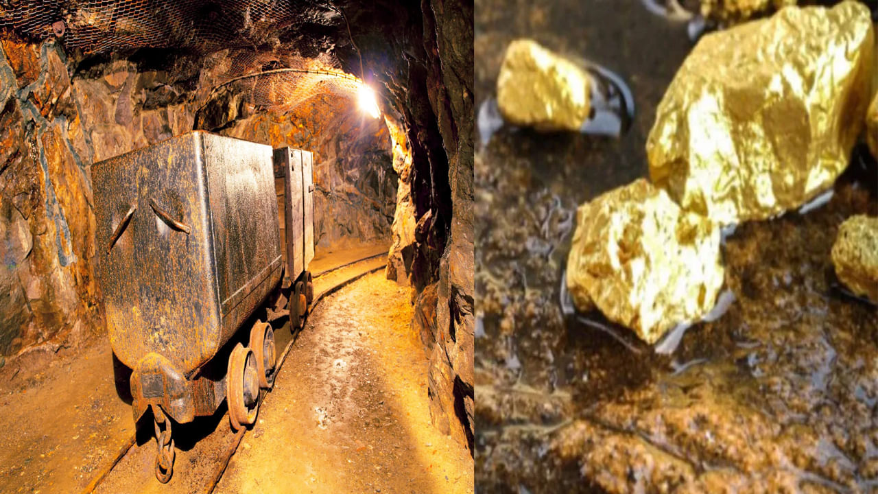 India gold Mines: భారతదేశ నేలలో దాగి ఉన్న 'బంగారు నిధి', ఏపీతో సహా దేశంలోని 5 పెద్ద బంగారు గనులు ఎక్కడ ఉన్నాయంటే..