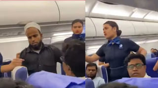 Video: పెద్ద పాము.. రెండు కప్పలను మింగింది! ఆ తర్వాత దాని పరిస్థితి చూడండి ఏమైందో..