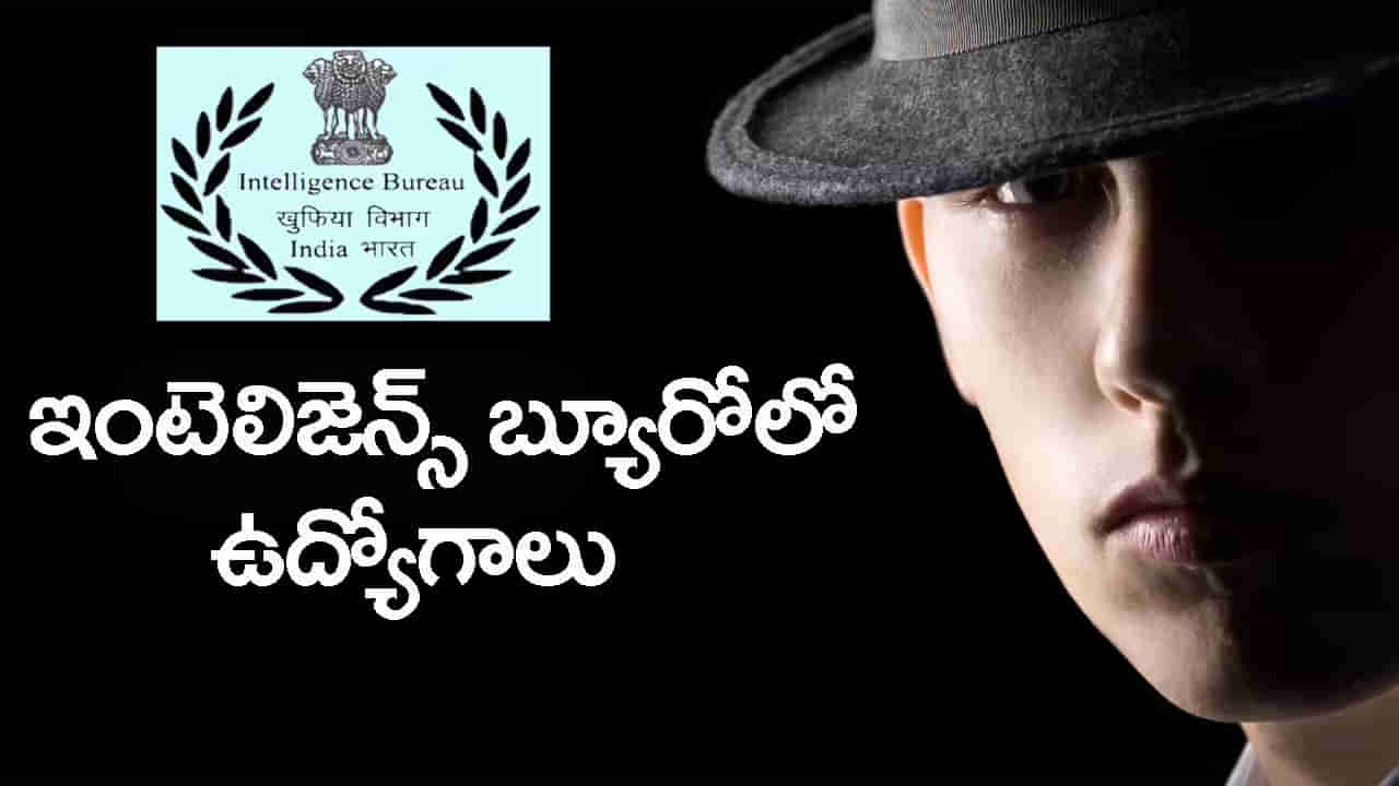 IB Job Notification 2025: ఇంటలిజెన్స్ బ్యూరోలో ఉద్యోగాలకు నోటిఫికేషన్‌ విడుదల.. డిగ్రీ పాసైతే చాలు!