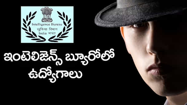 IB Job Notification 2025: ఇంటలిజెన్స్ బ్యూరోలో ఉద్యోగాలకు నోటిఫికేషన్ విడుదల.. డిగ్రీ పాసైతే చాలు!