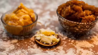 ప్రకృతి గీచిన చిత్రం.. ఈ పువ్వుల లోయ.. ఒకేసారి బ్రహ్మకమలం సహా 500 పువ్వులను చూడవచ్చు.. ఎక్కడ ఉందంటే..