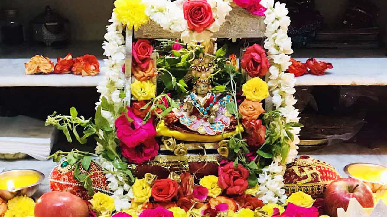 తులసి మొక్క ముందు దీపం వెలిగించండి: జన్మాష్టమి రాత్రి పూజ చేసేటప్పుడు తులసి మొక్క ముందు ఆవు నెయ్యితో దీపం వెలిగించండి. దీపం వెలిగించేటప్పుడు, "ఓం నమో భగవతే వాసుదేవాయ" అనే మంత్రాన్ని జపించండి. అలా చేయడం వల్ల శ్రీకృష్ణుడు సంతోషిస్తాడని ఇంట్లో సంపద, శ్రేయస్సు పెరుగుతుందని నమ్ముతారు.