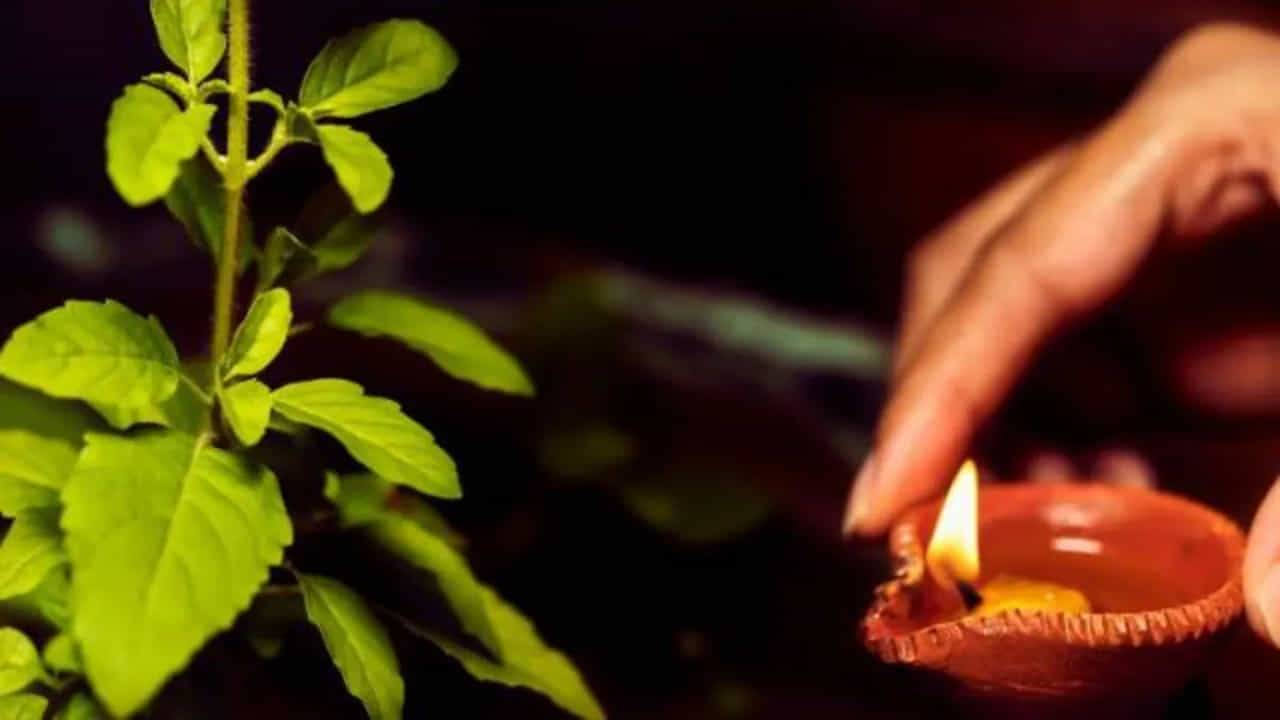 తులసి మొక్క ముందు దీపం వెలిగించండి: జన్మాష్టమి రాత్రి పూజ చేసేటప్పుడు తులసి మొక్క ముందు ఆవు నెయ్యితో దీపం వెలిగించండి. దీపం వెలిగించేటప్పుడు, "ఓం నమో భగవతే వాసుదేవాయ" అనే మంత్రాన్ని జపించండి. అలా చేయడం వల్ల శ్రీకృష్ణుడు సంతోషిస్తాడని ఇంట్లో సంపద, శ్రేయస్సు పెరుగుతుందని నమ్ముతారు.