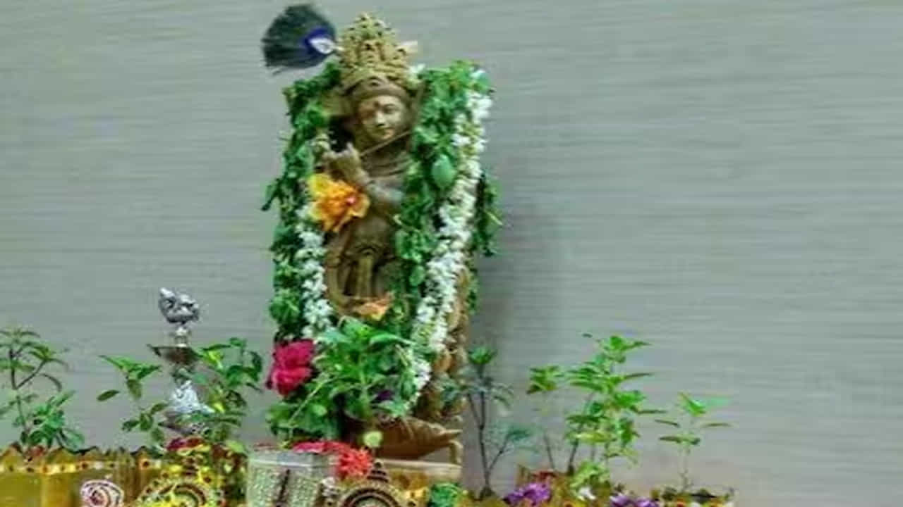 తులసి దండను సమర్పించండి: జన్మాష్టమి రోజున శ్రీకృష్ణుని విగ్రహానికి తులసి మాల సమర్పించడం చాలా శుభప్రదంగా భావిస్తారు. కన్నయ్య మెడకు తులసి మాలను సమర్పించవచ్చు. అతని పాదాల వద్ద ఉంచవచ్చు. ఈ పరిహారం మీ జీవితంలో ఆనందం, శాంతిని తెస్తుంది.