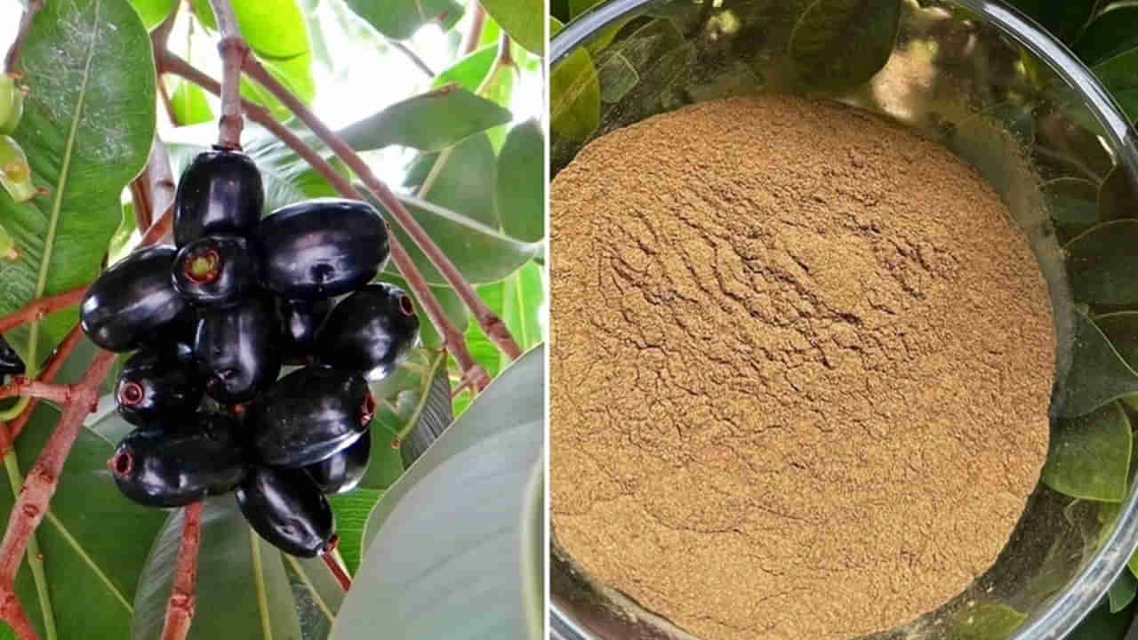 షుగర్‌ను కంట్రోల్ చేసే రామబాణం.. ఇది తాగితే దెబ్బకు ఛూమంత్రం వేసినట్లే..