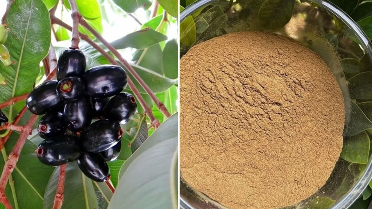 షుగర్‌ను కంట్రోల్ చేసే రామబాణం.. ఇది తాగితే దెబ్బకు ఛూమంత్రం వేసినట్లే..