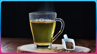 Optical Illusion: తోడేళ్ళ గుంపులో దాగున్న సాలీడు.. ఐదు సెకన్లలో గుర్తిస్తే మీరు తోపు..