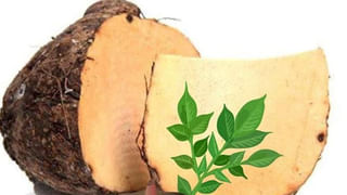 Arthritis Diet: కీళ్ళ నొప్పితో ఇబ్బంది పడుతున్నారా.. ఏం తినాలి..? ఎలాంటివి తినకూడదో తెలుసుకోండి..