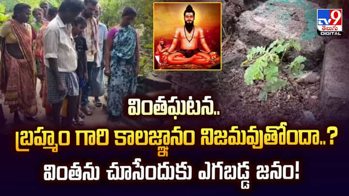 వింతఘటన.. బ్రహ్మం గారి కాలజ్ఞానం నిజమవుతోందా..? వింతను చూసేందుకు ఎగబడ్డ జనం వింతఘటన.. బ్రహ్మం గారి కాలజ్ఞానం నిజమవుతోందా..? వింతను చూసేందుకు ఎగబడ్డ జనం