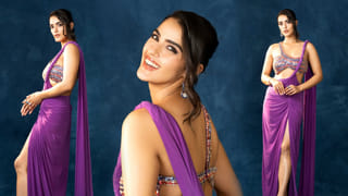 సనాతన ధర్మాన్ని అనుసరించే హాలీవుడ్ తారలు.. విశేషంగా గణపతి, లక్ష్మీదేవికి పూజలు