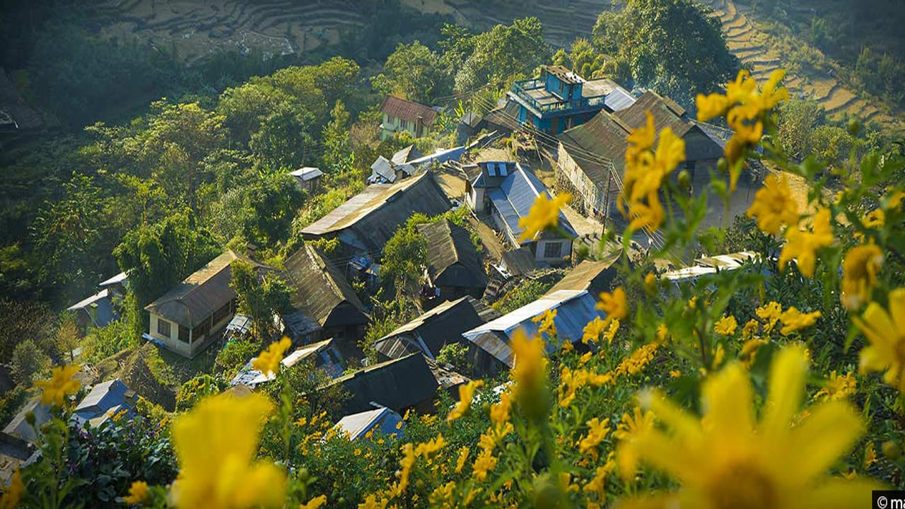 నాగాలాండ్‌లోని ఖోనోమా గ్రామం ఆసియాలోనే మొట్టమొదటి గ్రీన్ విలేజ్‌గా ప్రసిద్ధి చెందింది. పర్యావరణ పరిరక్షణ, పరిశుభ్రత, పచ్చదనం గురించి అవగాహన ఈ గ్రామాన్ని ప్రత్యేకంగా చేస్తుంది. విదేశీ పర్యాటకులు ఇక్కడి గిరిజన జీవనశైలి, పచ్చని దృశ్యాలకు మంత్రముగ్ధులవుతారు.