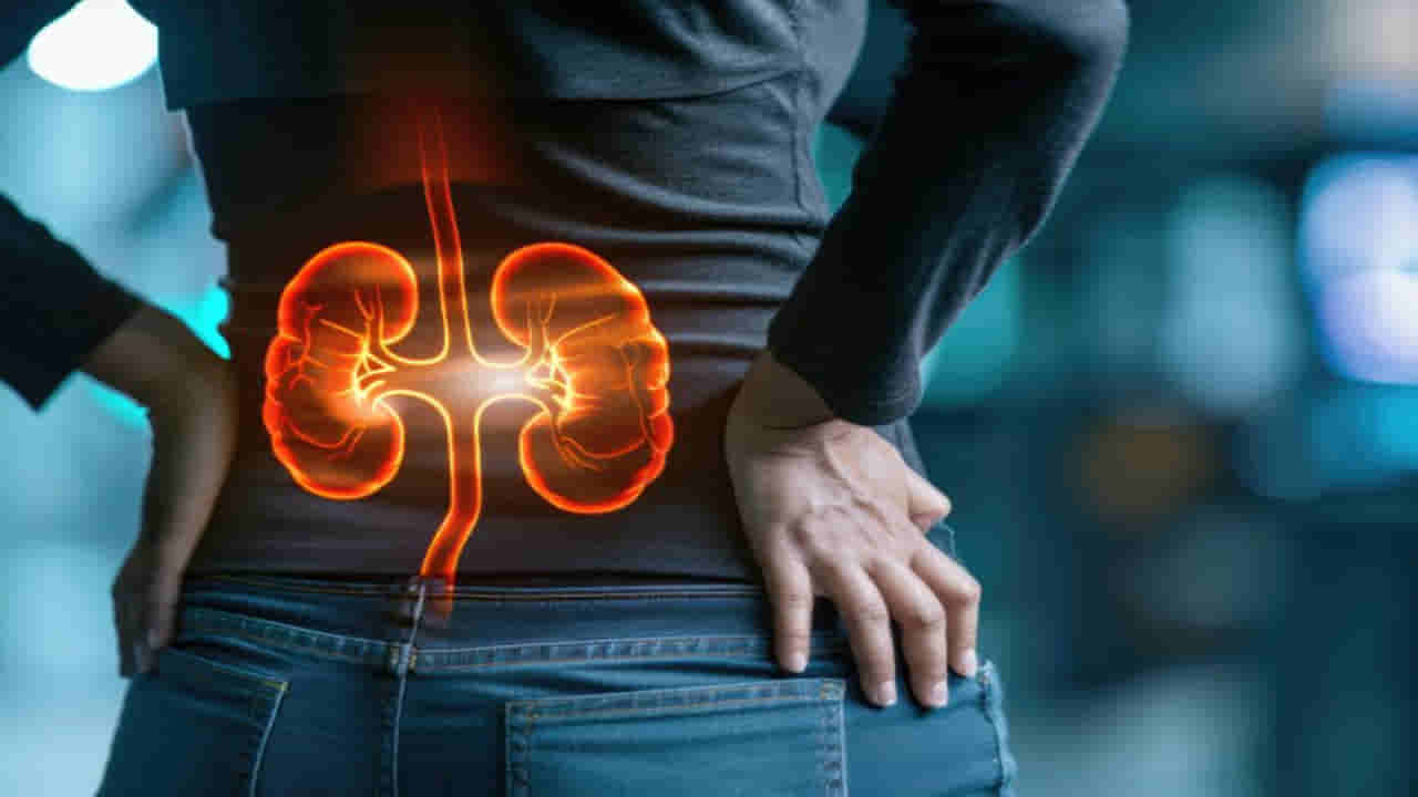 Kidney Health: కిడ్నీ సమస్యలకు 5 సంకేతాలు.. ఉదయం కనిపించే ఈ లక్షణాలతో జాగ్రత్త!