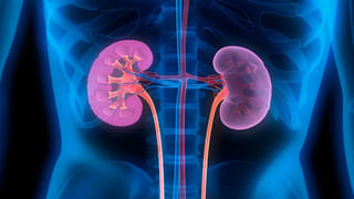 ఊటీ, కొడైకెనాల్‌ వదిలేసి.. ఈ కొత్త ప్లేస్‌లు చూద్దాం రండి..! వర్షాకాలం ట్రిప్ కి ఇవి బెస్ట్..!