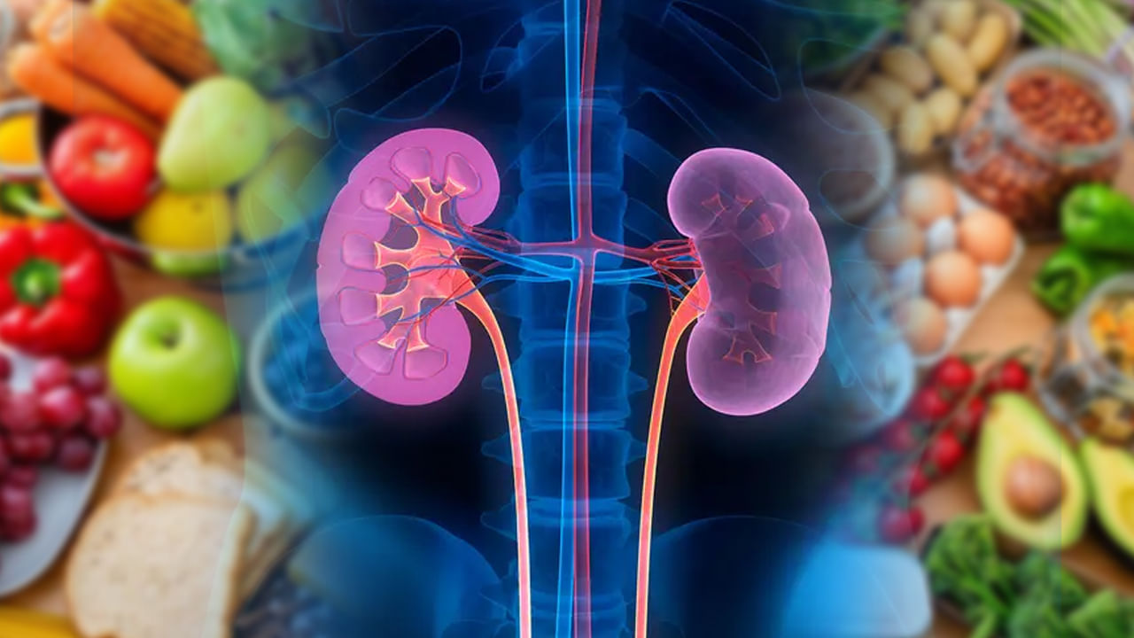 Health Tips: ఈ 6 పండ్లు కిడ్నీలకు జీవం పోస్తాయి.. కిడ్నీ సమస్యలు పరార్‌..! – Telugu News | Health Tips: 6 fruits help to Keep Your Kidneys Healthy