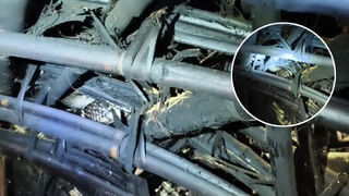 Onion Price Dropped: భారీగా పతనమైన ఉల్లి ధరలు.. రైతు కంట కన్నీరు! ఆదుకోవాలంటూ విన్నపాలు