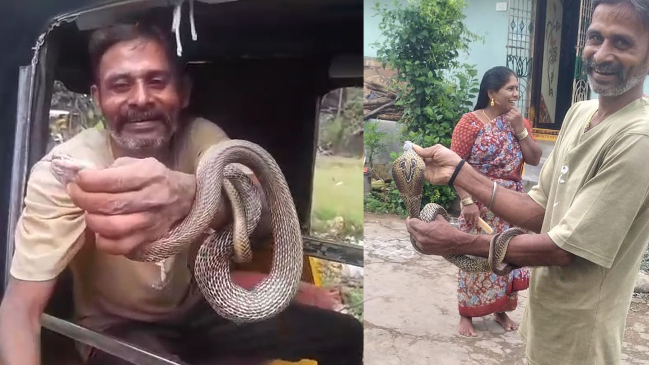 Watch: కోళ్లపై దాడిచేసి కోడిగుడ్లు మింగిన కోడెనాగు.. ఆ తర్వాత నాగమ్మ పరిస్థితి ఇదే.. – Telugu News | King Cobra Snake Attacks Chickens, Eats Eggs: Village in Panic at Vizianagaram district Watch Video