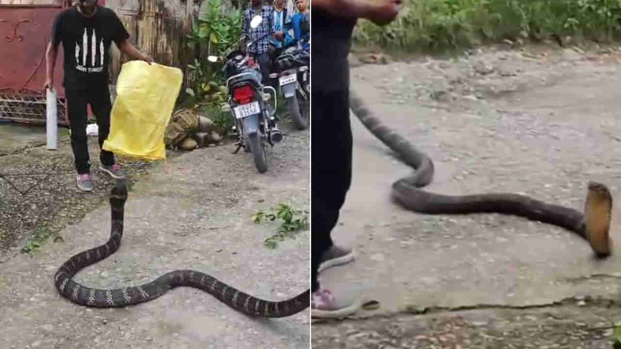 Watch: వామ్మో.. రెస్క్యూ టీంపై దాడికి దిగిన కింగ్ కోబ్రా.. త్రుటిలో తప్పిన ప్రమాదం