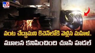 శ్రీశైలం సమీపంలో దారుణం.. నిద్రిస్తున్న చిన్నారిని లాక్కెళ్లిన చిరుత..