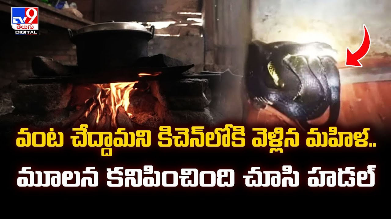 వంట చేద్దామని కిచెన్‌లోకి వెళ్లిన మహిళ.. మూలన కనిపించింది చూసి..