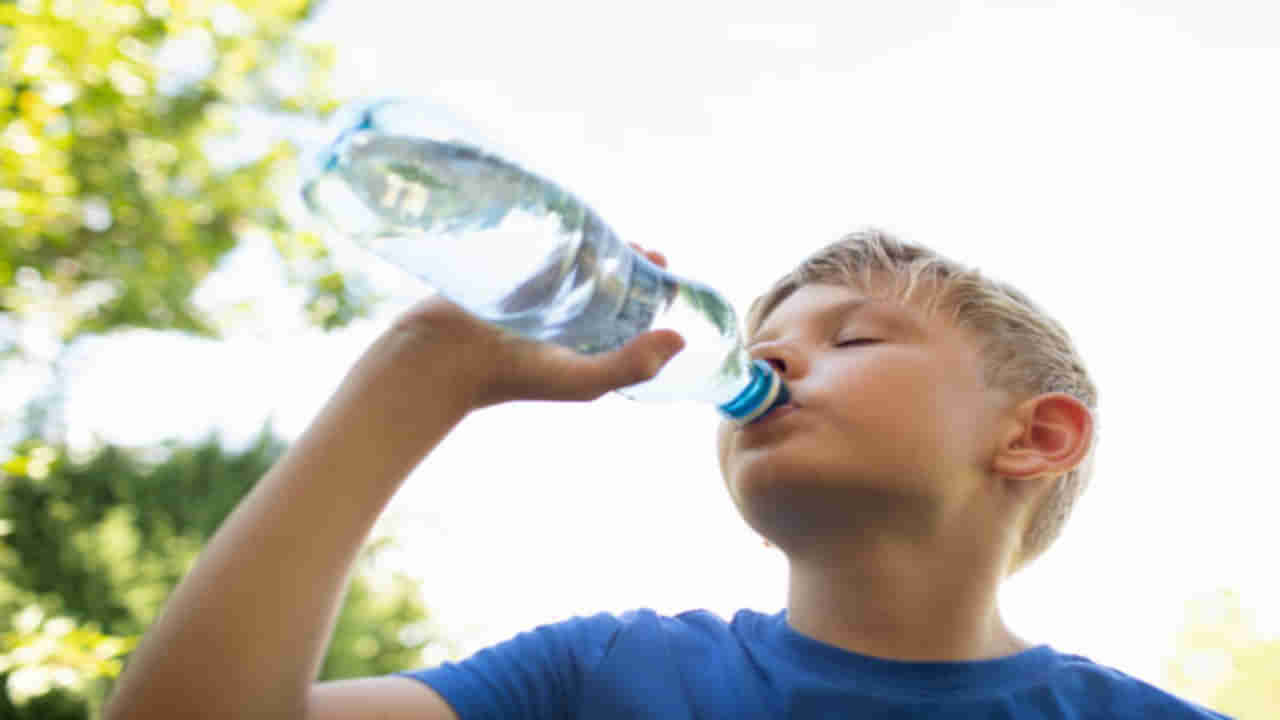 Packaged Water: ప్యాకేజ్డ్ వాటర్ తాగుతున్నారా.. అయితే ఈ విషయాలు పక్కాగా తెలుసుకోవాల్సిందే