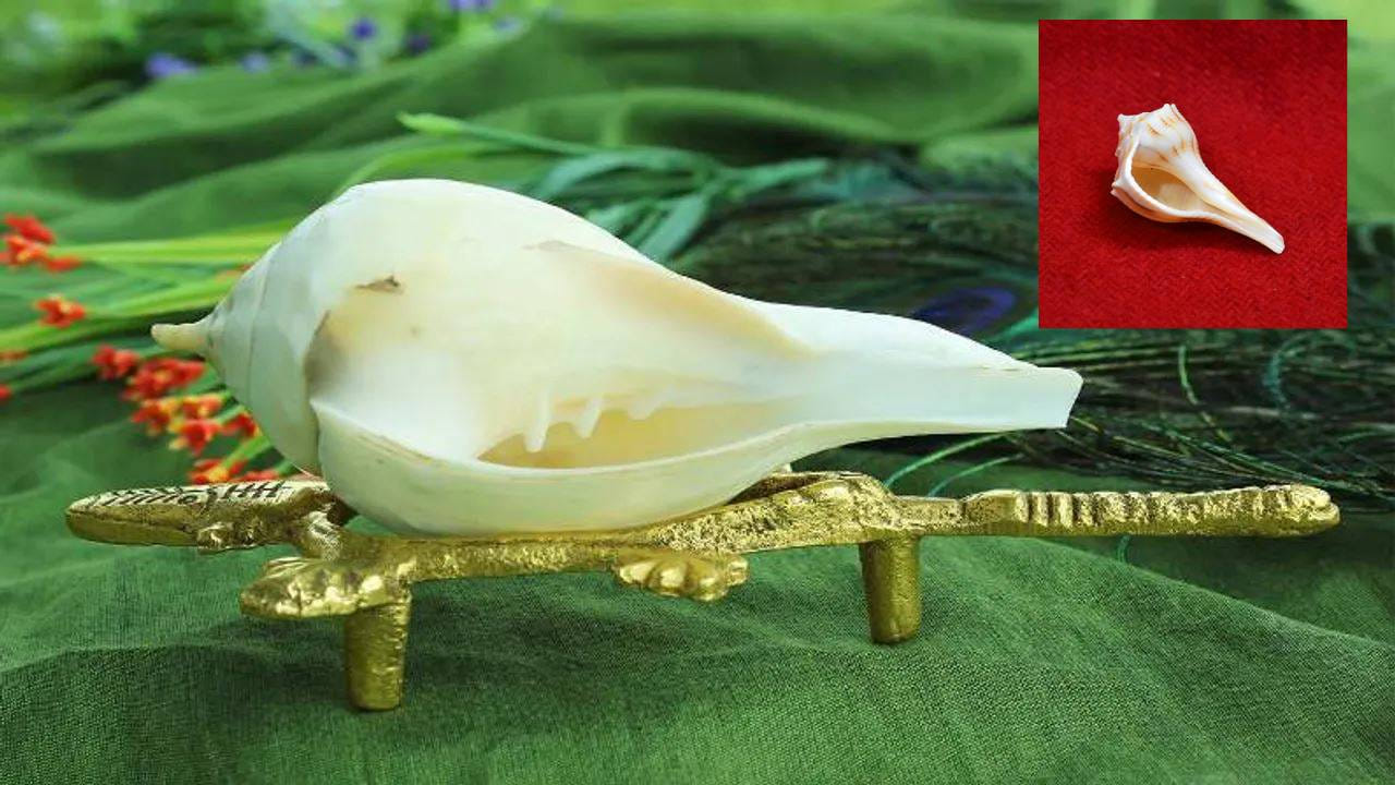 అదే విధంగా కృష్ణాష్టమి రోజున దక్షిణావర్తి శంఖం తీసుకొచ్చి, అందులో నీరు , పాలు పోసి, శ్రీకృష్ణుడికి అభిషేకం చేయడం వలన వైవాహిక జీవితంలోని సమస్యలు తొలిగిపోతాయంట.