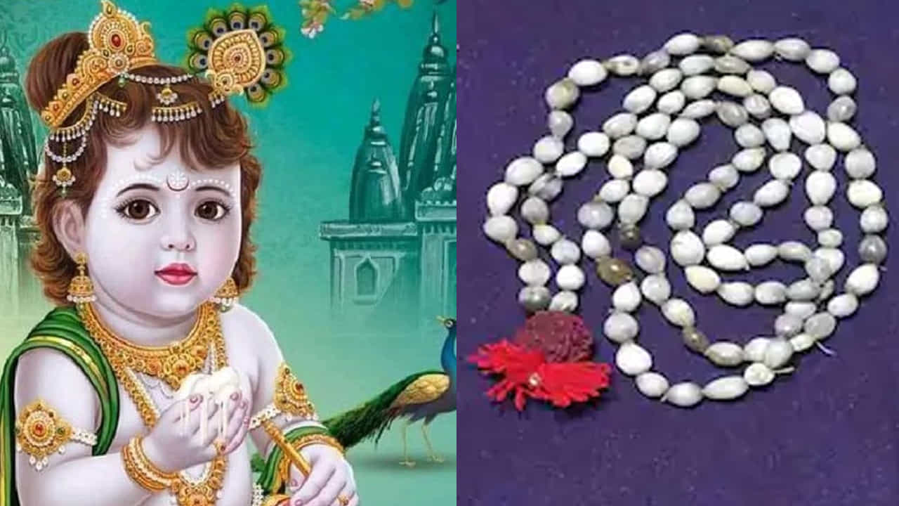 శ్రీ కృష్ణజన్మాష్టమి రోజు వైజయంతి మాలను తీసుకొచ్చి, ఇంటిలో కన్నయ్య పూజ సమయంలో శ్రీకృష్ణుడికి సమర్పించడం వలన ఆర్థిక సమస్యలు తొలిగిపోయా, ఆనందంగా జీవిస్తారంట.