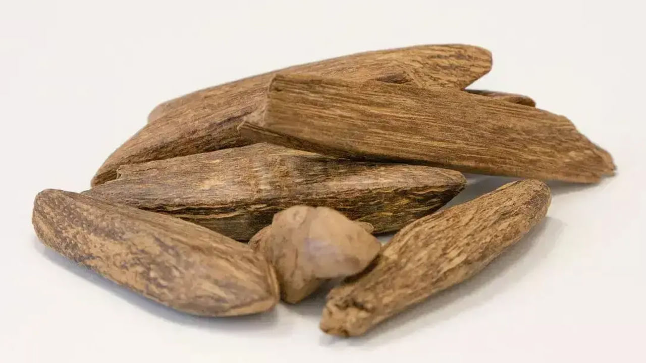 కిలో బంగారం కంటే ఈ కర్ర రేటు ఎక్కువ..! 10 గ్రాముల ధర రూ.85 లక్షల పైనే..