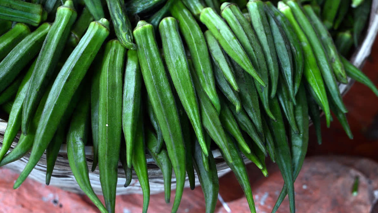 Ladyfinger