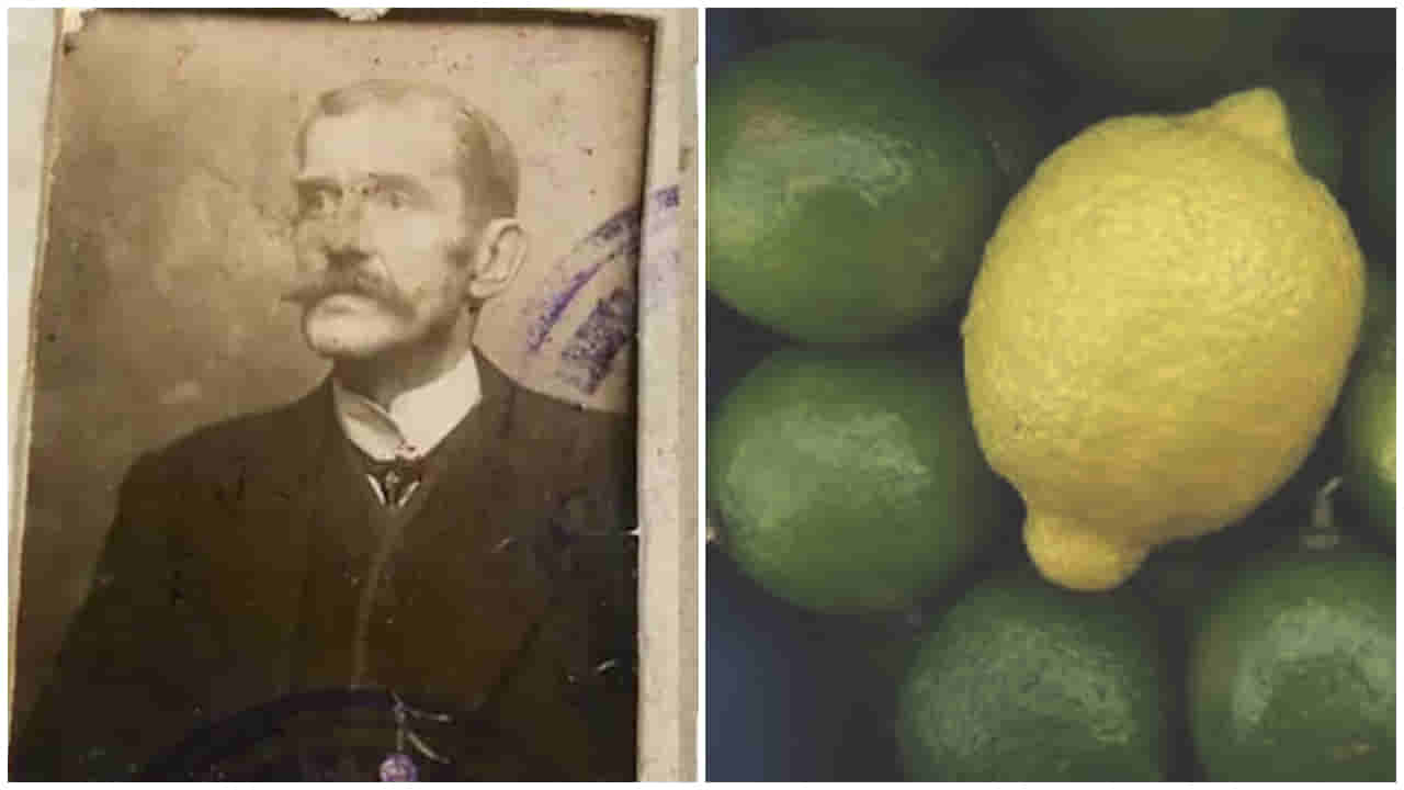 History Facts: ఓ నిమ్మకాయ గూఢచారి రహస్యాన్ని ఎలా బయటపెట్టింది.. తర్వాత ఏమైంది?