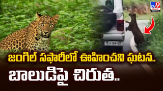 వ్యతిరేక దిశలో ప్రవహించే నది..! ఎత్తైన అలలు ఎగిసిపడుతుంటాయి.. చూసేందుకు క్యూ కడుతున్న జనం..