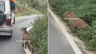 ఆరు నెలలుగా పీరియడ్స్‌ రావడం లేదని ఆస్పత్రికి వెళ్లిన మైనర్‌ బాలిక.. స్కానింగ్‌ రిపోర్ట్‌ చూసి అంతా షాక్..