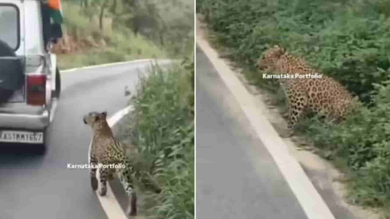 Watch: జంగిల్‌ సఫారీలో షాకింగ్ సీన్.. తల్లిదండ్రుల కళ్లముందే 13ఏళ్ల బాలుడిపై చిరుత దాడి..!