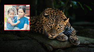 ఎనిమిదో తరగతి విద్యార్థి అద్భుత ప్రతిభ.. రావి ఆకుపై అబ్బురపరుస్తున్న కళాఖండం