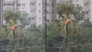 Hyderabad: హైదరాబాద్‌లో నడిరోడ్డుపై వింత ఆసనం వేసిన యువకుడు.. రీజన్ ఏంటంటే..?