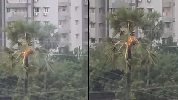Rains Video: హైదరాబాద్ గచ్చిబౌలిలో పిడుగు... భయంతో పరుగులు పెట్టిన జనాలు