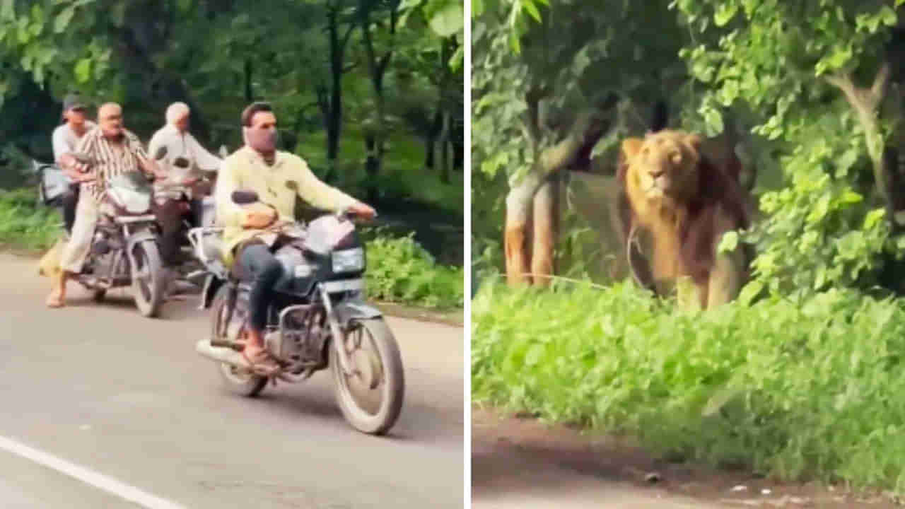 Viral Video: రండిరా రండి... మీకోసమే వెయిటింగ్‌... రోడ్డపక్కన షాకింగ్‌ సీన్‌తో వాహనదారుల పరుగో పరుగు