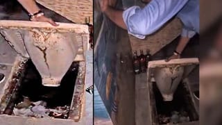 వీధి కుక్కలు తరలించాలన్న సుప్రీంకోర్టు తీర్పును పరిశీలిస్తానన్న ప్రధాన న్యాయమూర్తి