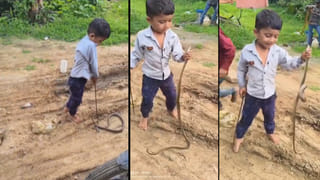 Viral News: భార్య అడిగిన వింత కోరిక.. ఆగమాగమై నేరవేర్చిన భర్త.. ఇంతకీ ఏం చేశాడంటే