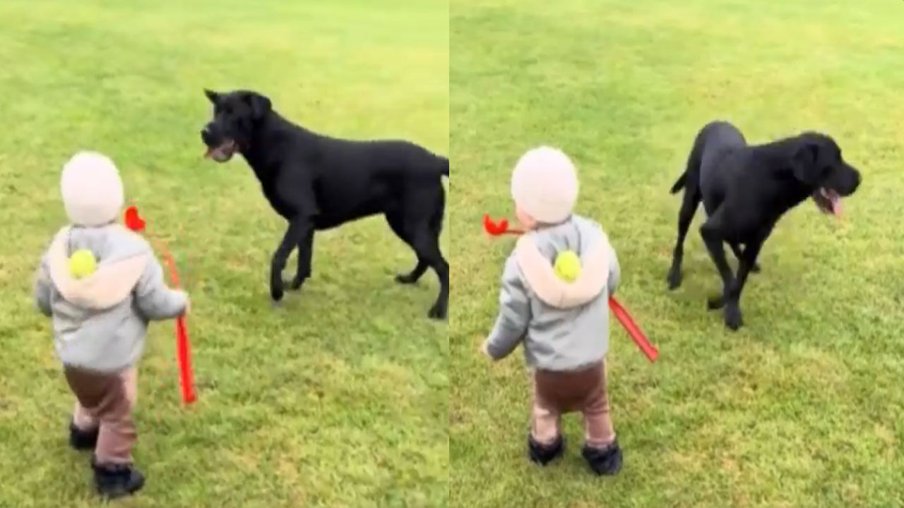 Viral Video: బుడ్డోడి ట్రిక్స్తో పరేషాన్ అయిన పెంపుడు కుక్క... సోషల్ మీడియలో వీడియో వైరల్