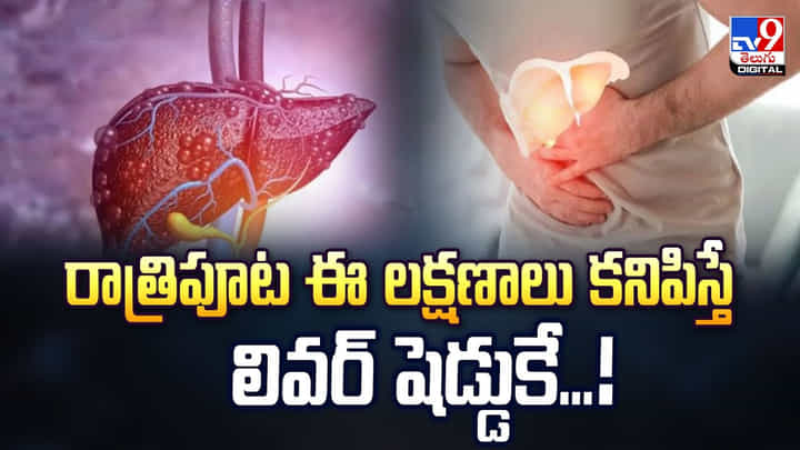 Liver: రాత్రిపూట ఈ లక్షణాలు కనిపిస్తే లివర్ షెడ్డుకే Liver: రాత్రిపూట ఈ లక్షణాలు కనిపిస్తే లివర్ షెడ్డుకే