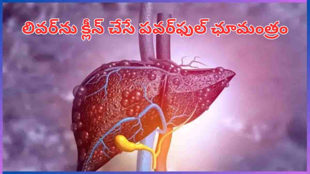 ఉదయాన్నే పసుపుతో ఇది కలిపి తీసుకుంటే చాలు.. దెబ్బకు లివర్ను సర్ఫ్ వేసి కడిగినట్టే..