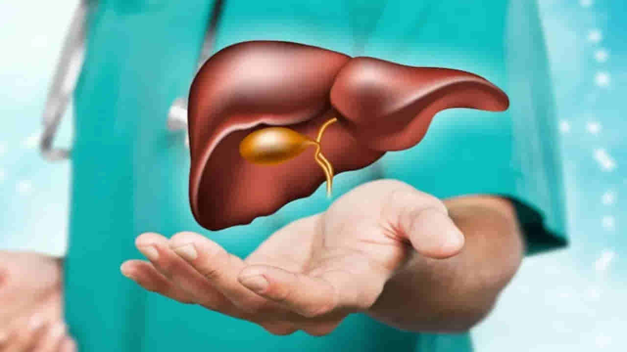 లివర్ ఆరోగ్యానికి బెస్ట్ టిప్స్.. డైలీ ఇలా చేస్తే మీరు సేఫ్..