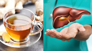 Mutton Keema Curry: టేస్టీ టేస్టీ మటన్ కీమా రెసిపీ మీ కోసం.. అన్నం, చపాతీతో కీమా కూర కాంబో అదిరిపోతుంది..