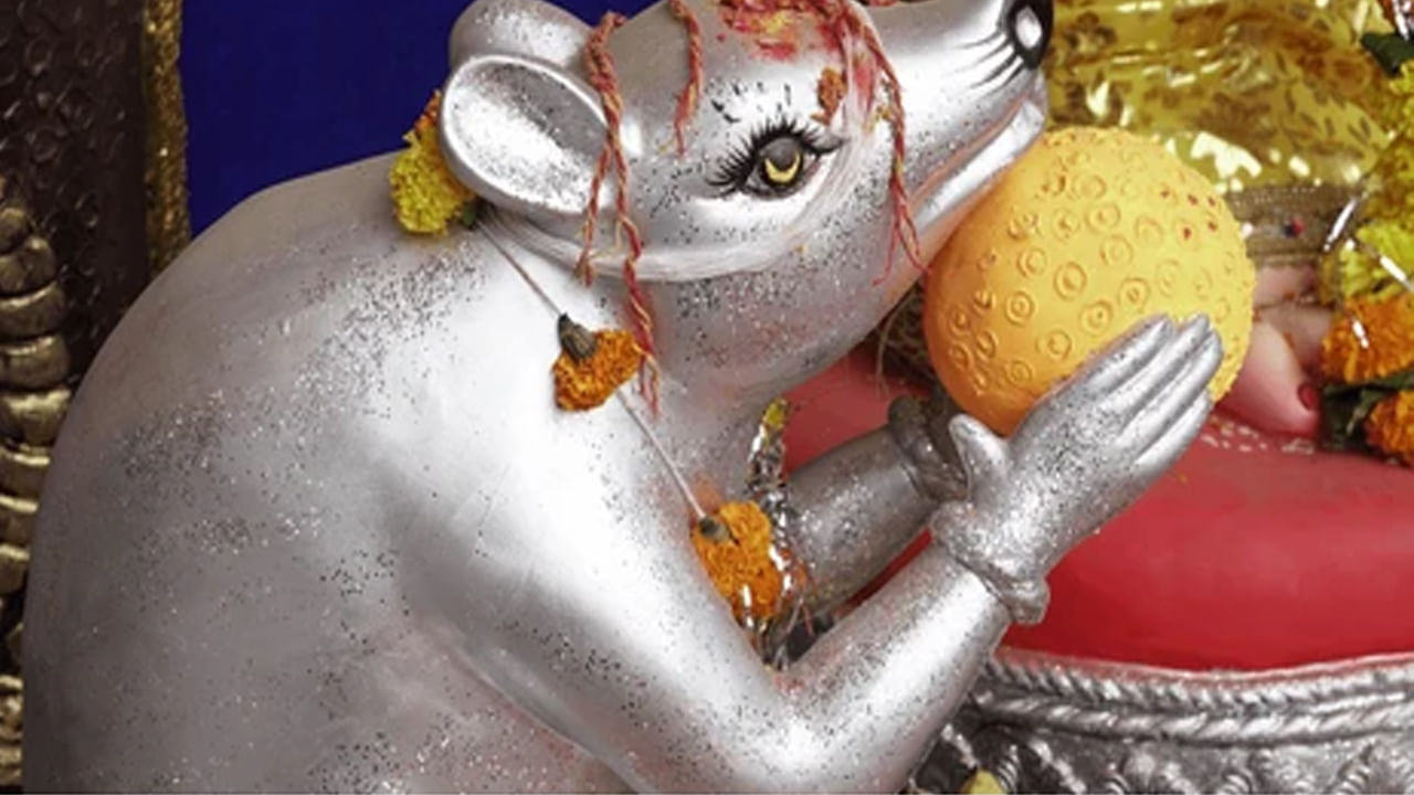 బొజ్జ గణపయ్యకు వాహనం ఎలుక మాత్రమే కాదు.. సింహం, నెమలి వంటి వివిధ రకాల వాహనాలను కూడా కలిగి ఉన్నాడు. యుగాన్ని బట్టి గణపతికి వాహనం ఉందని పురాణాల కథనం.