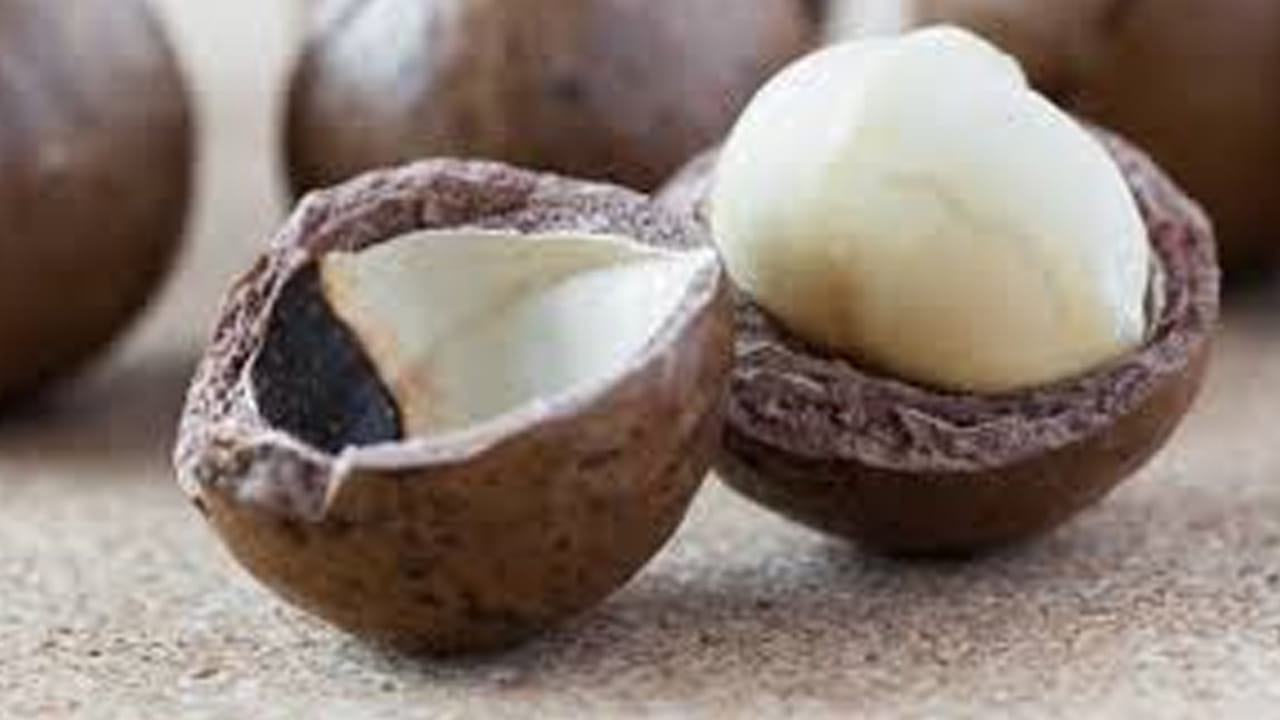 గుండె ఆరోగ్యం: మెకడమియా నట్స్‌లో ఉండే మోనోశాచురేటెడ్ కొవ్వులు, ఒమేగా-9, ఒమేగా-7 కొవ్వు ఆమ్లాలు ఇన్‌ఫ్లమేషన్‌ను తగ్గించి తద్వరా చెడు కొలెస్ట్రాల్ స్థాయిని తగ్గిస్తాయి. తద్వారా గుండె ఆరోగ్యాన్ని మెరుగుపరుస్తాయి. 