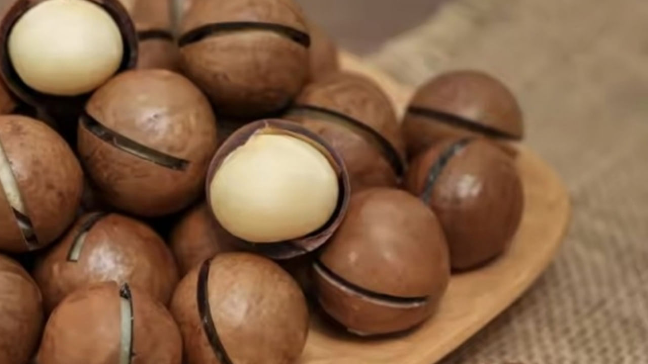  కొలెస్ట్రాల్ స్థాయిలను తగ్గించడం, గుండె ఆరోగ్యాన్ని మెరుగుపరచడం, రక్తంలో చక్కెర స్థాయిలను నియంత్రించడం, మెదడు పనితీరును పెంచడం, జీర్ణక్రియను మెరుగుపరచడానికి సహాయపడతాయి. అయితే వీటిలో ఎక్కువ మొత్తంలో కేలరీలు ఉన్నాయి. కనుక తక్కువగా తినడం మంచిది. అరుదైన గింజ మెకడమియా నట్స్ ని తినడం వలన కలిగే ఆరోగ్య ప్రయోజనాలు ఏమిటో తెలుసుకుందాం.. 
