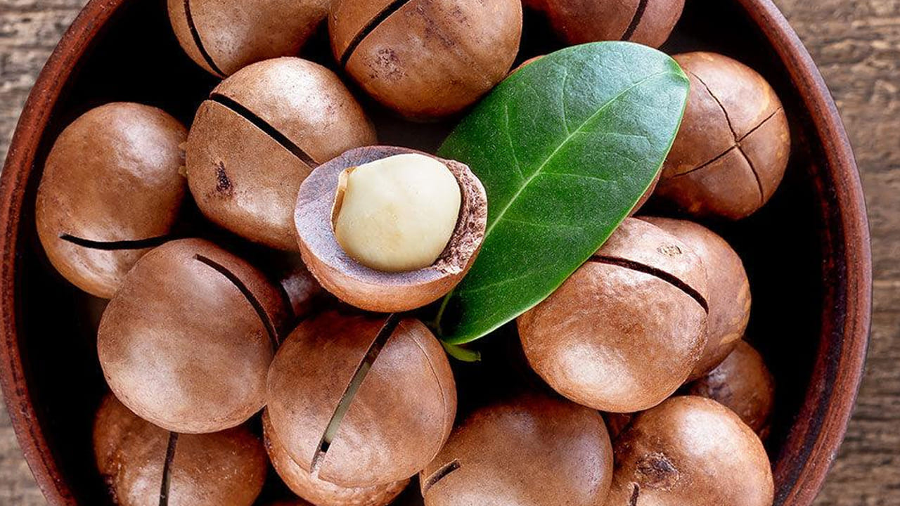 బరువు నిర్వహణ: మెకడమియా నట్స్‌లో ఆరోగ్యకరమైన కొవ్వులు, ఫైబర్ ఉన్నాయి. కనుక వీటిని తింటే కడుపు నిండుగా ఉన్నట్లు అనిపిస్తుంది. దీంతో తినాలనే కోరిక తక్కువగా కలుగుతుంది. దీని వలన బరువును నియంత్రించడంలో ఇవి  సహాయపడతాయి