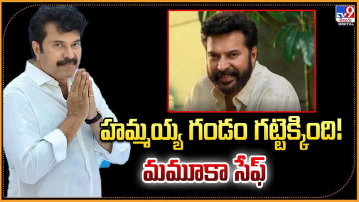 హమ్మయ్య గండం గట్టెక్కింది! మమూకా సేఫ్ హమ్మయ్య గండం గట్టెక్కింది! మమూకా సేఫ్