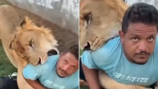 Viral News: భార్య అడిగిన వింత కోరిక.. ఆగమాగమై నేరవేర్చిన భర్త.. ఇంతకీ ఏం చేశాడంటే